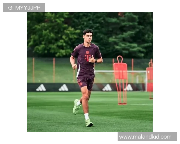 帕夫洛维奇盛赞米兰团队精神，逆转的火焰永不熄灭！